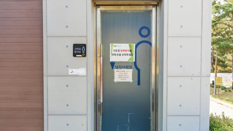울창한 소나무 숲 산책로 및 피크닉 잔디 쉼터