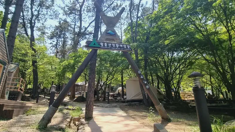 월출산 청정 동백나무 숲과 맑은 계곡물이 흐르는 자연 쉼터