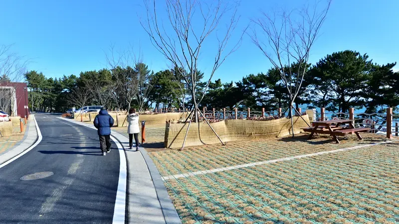 동해의 시원한 파도 소리를 들으며 캠핑을 즐기는 36면 목재 데크