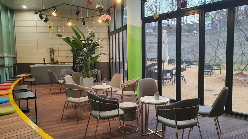 가족과 함께 피톤치드를 호흡하는 무등산 숲속 힐링 테라스