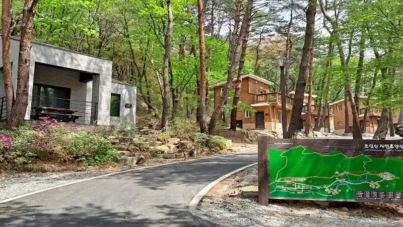 휴양림 진입로 및 숲속의집 1:1 주차공간