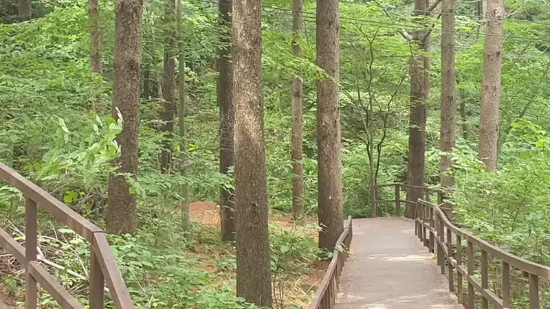산림문화휴양관 및 숲속의집 전용 주차공간