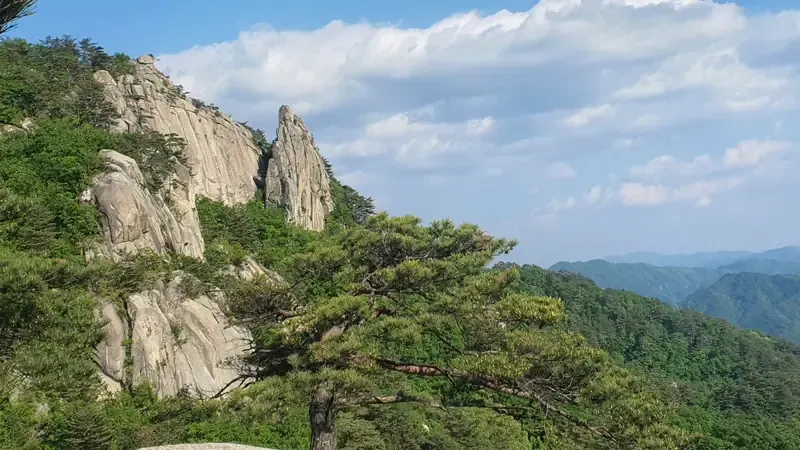 산림복합체험관 및 숲속의집 1:1 주차공간