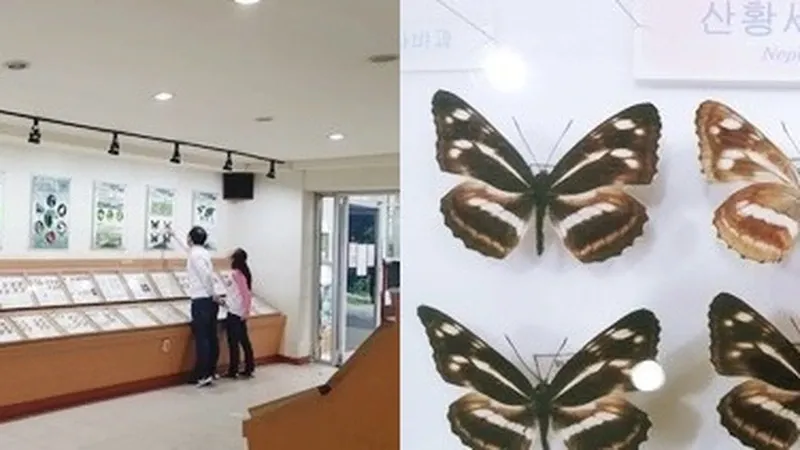 곤충생태관 표본전시실 및 무장애 보행 진입로