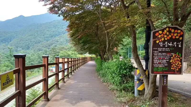 산림휴양관 및 숲속의집 1:1 주차공간