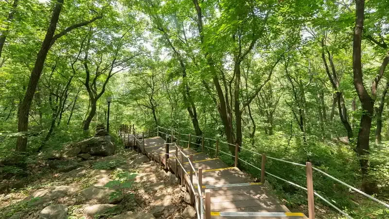 휴양관 및 캠핑 데크 인근 전용 주차구역
