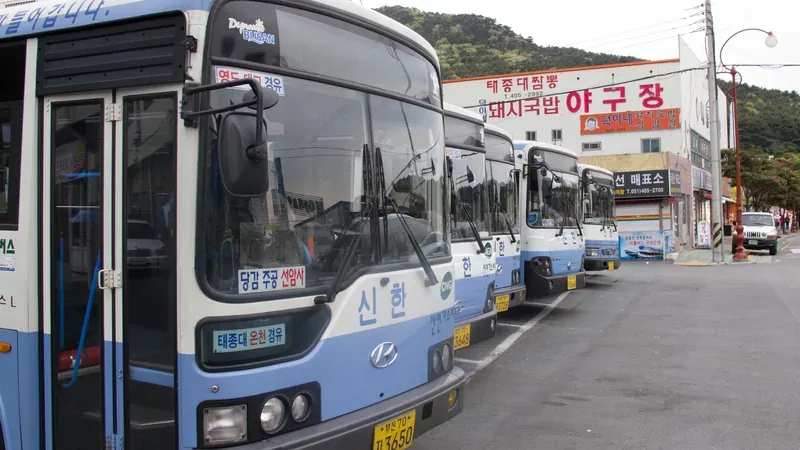 태종대 입구 전용 주차장 및 유모차 진입 보행 광장