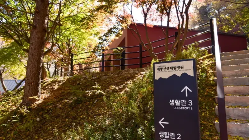 생태탐방원 방문객 및 숙박 가족 전용 지상 주차장