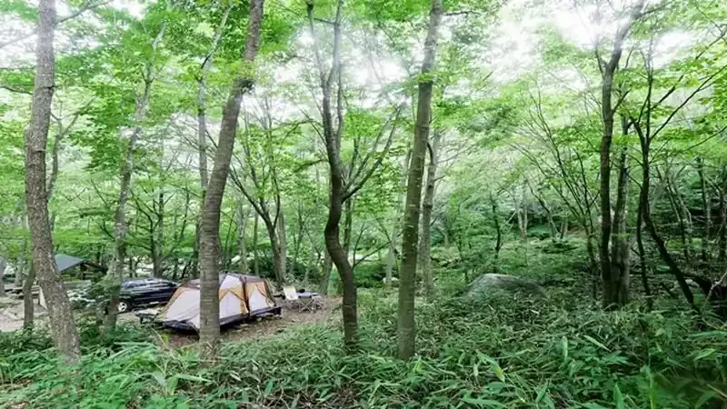 산림휴양관 및 숲속의집 앞 1:1 주차구역