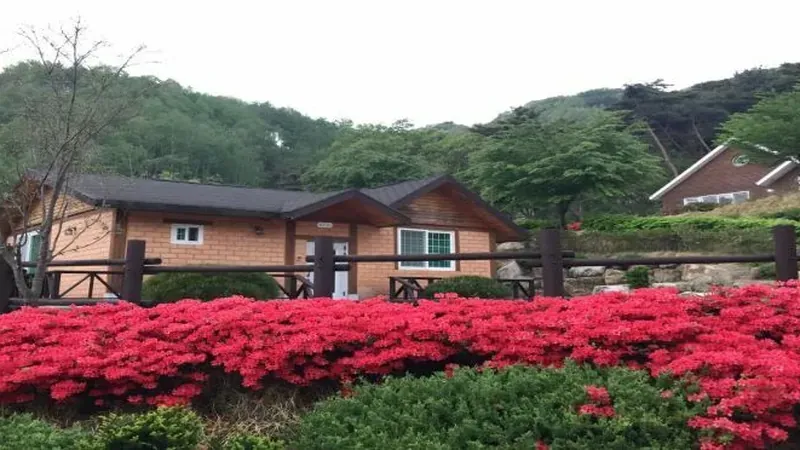 산림휴양관 및 숲속의집 단독 문 앞 주차공간