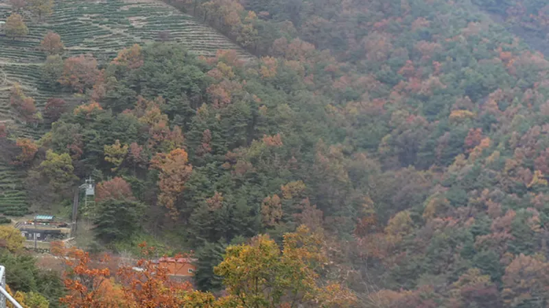 산림휴양관 및 숲속의집 전용 주차공간