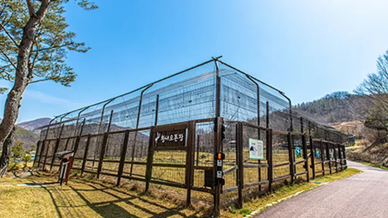 황새문화관 앞 진입광장 및 평탄 보행로