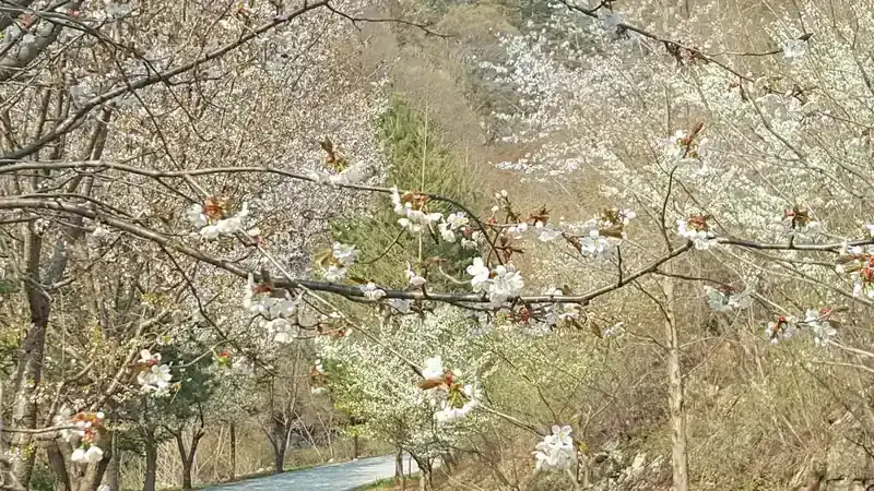 산림문화휴양관 및 숲속의집 전용 주차공간