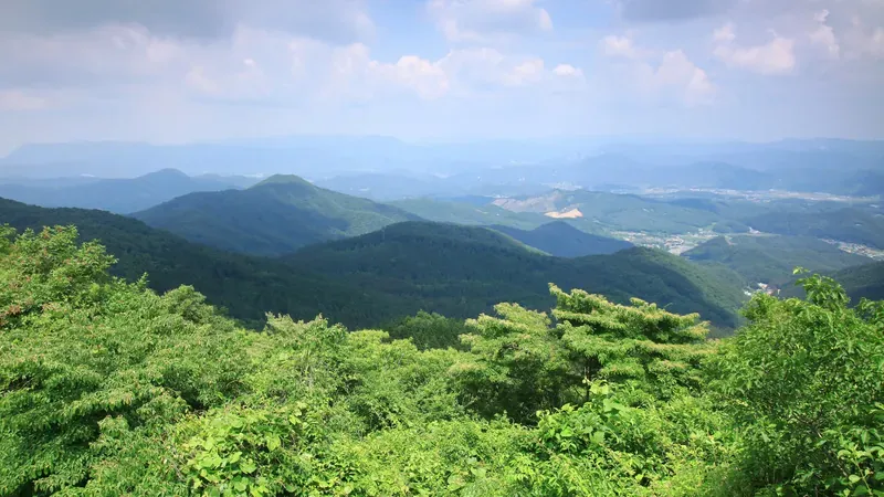 축령산 편백치유의숲 탐방로 입구 및 무장애 숲길 진입로