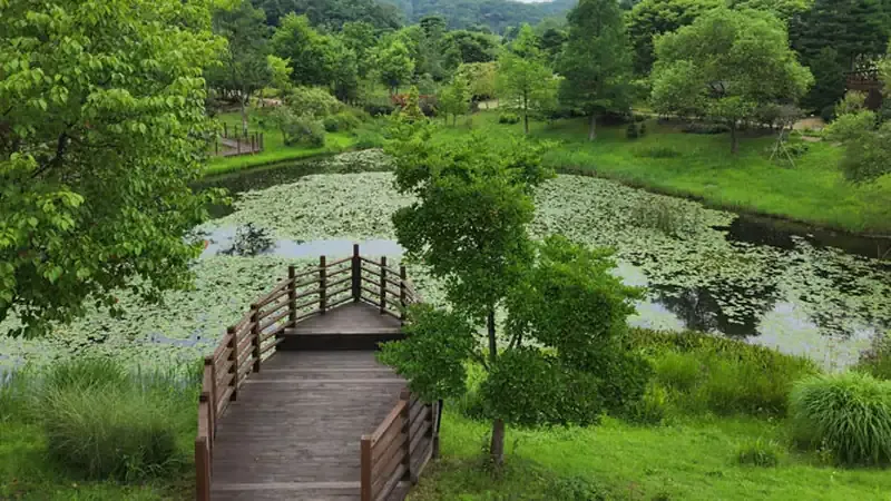 방문자안내소 진입광장 및 무장애 보행로