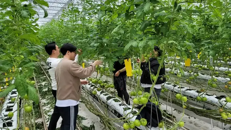 혁신밸리 지원센터 및 진입 보행광장 주차구역