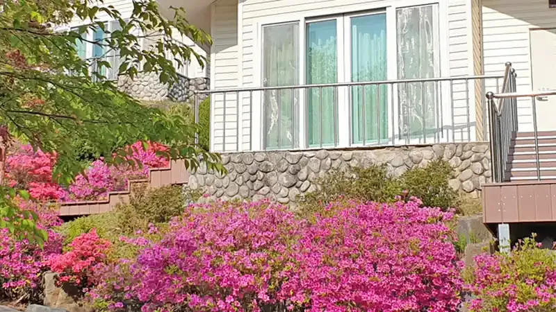 산림문화휴양관 및 숲속의집 전용 주차공간