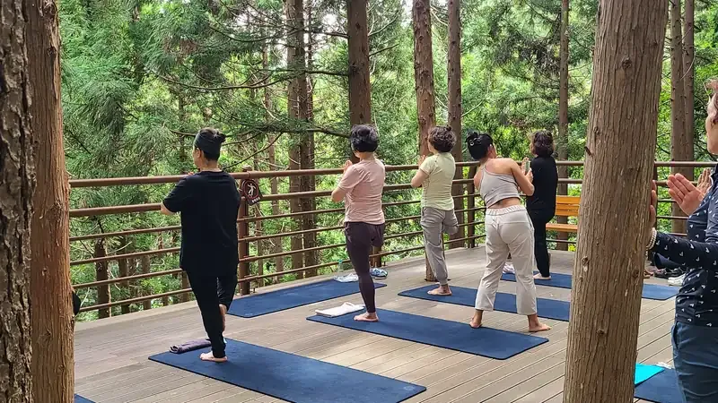 승학산치유의숲 진입로 및 무장애 활동데크 산책로