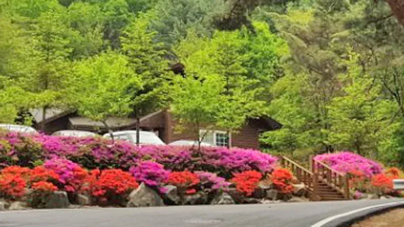 산림문화휴양관 및 숲속의집 앞 1:1 주차장