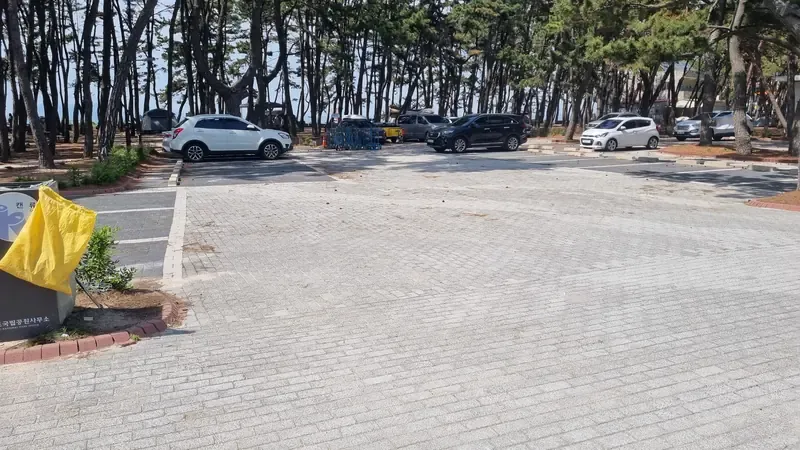 제1·2 대형 주차장 및 문 앞 주차 야영 사이트 진입로