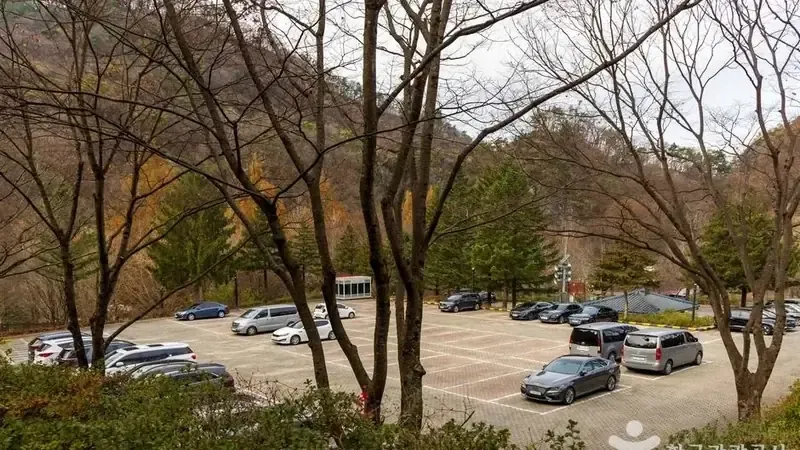 다리안관광지 전용 주차장 및 캠핑장 진입로 전경