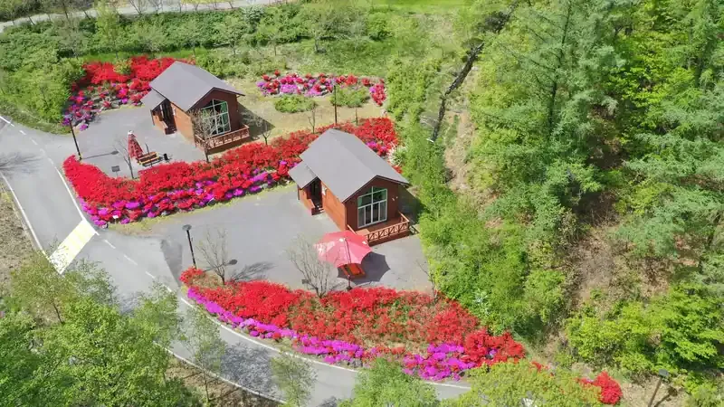 산림문화휴양관 및 숲속의집 앞 1:1 주차공간