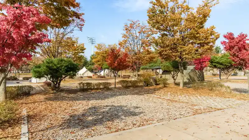 오토캠핑 사이트 문 앞 1:1 전용 주차구역