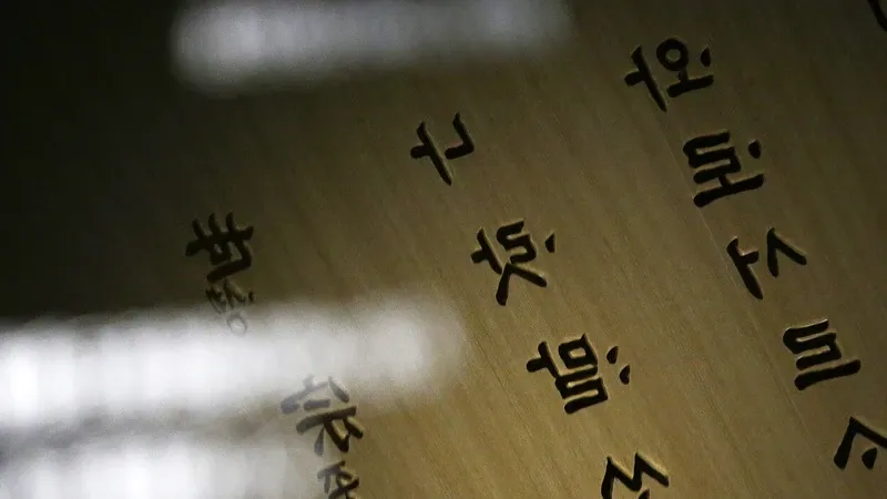 박물관 진입광장 및 무장애 보행로