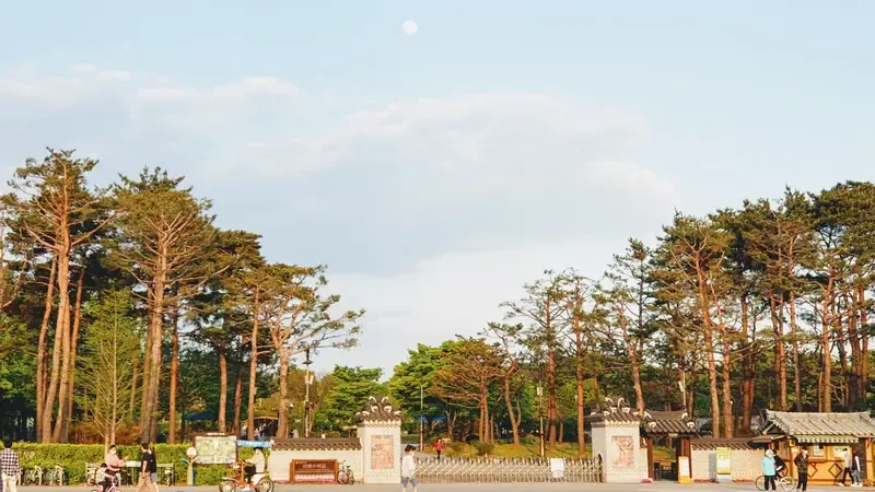엑스포시민광장 연결 진입로 및 평탄 보행광장