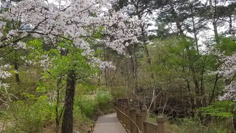 곡성치유의숲 진입로 및 방문자 주차 안내
