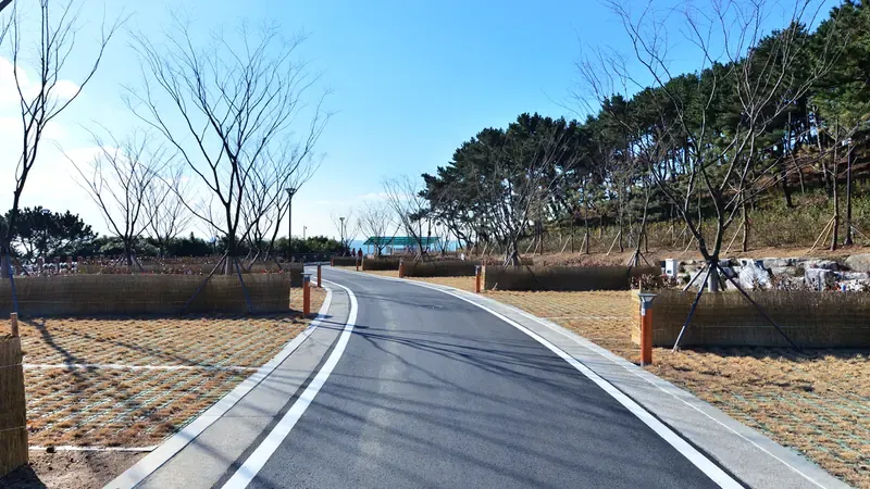 오션뷰 오토캠핑 사이트 문 앞 1:1 전용 주차공간 및 목재 데크
