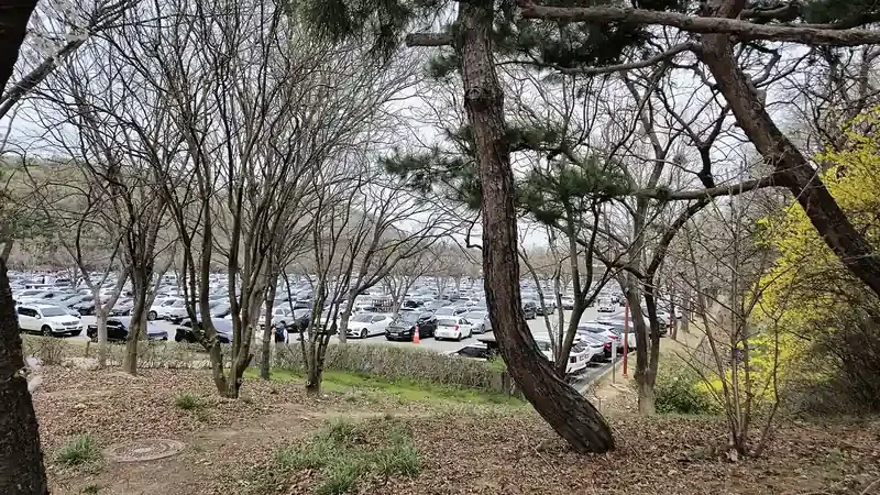 인천대공원 제1주차장 및 너나들이캠핑장 손수레 이동 진입로