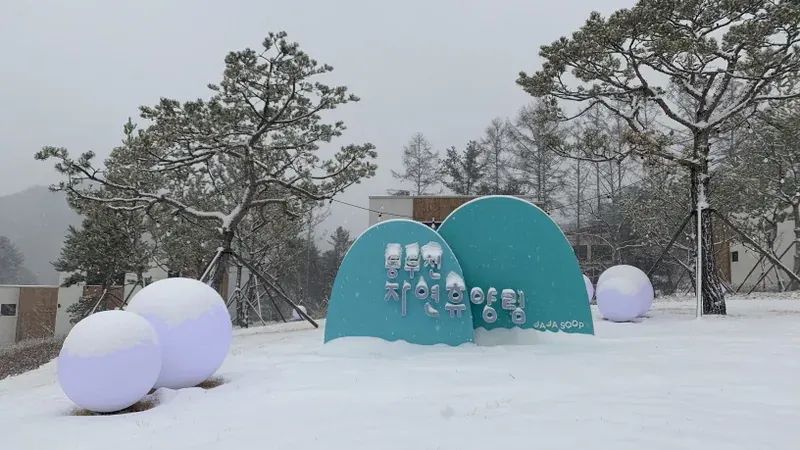 숲속의집 및 산림휴양관 전용 지하/지상 광폭 주차장
