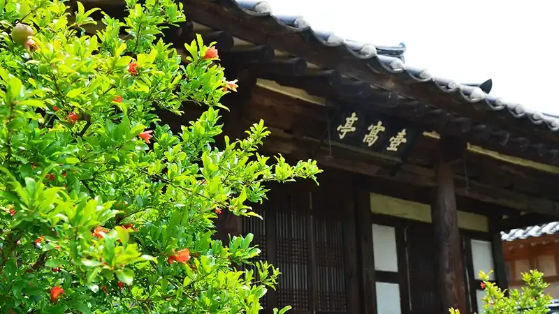 산림문화관 지상 진입광장 및 완경사 무장애 데크로