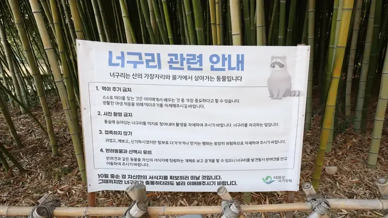 태화강 둔치 진입광장 및 만남의광장 평탄 보행로