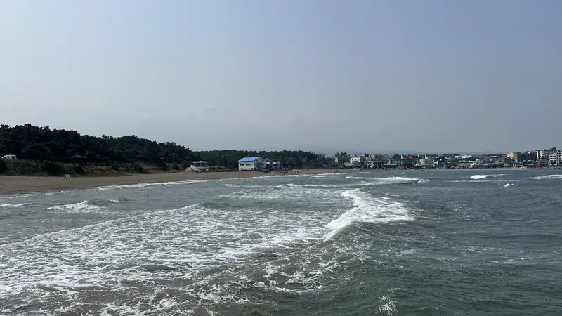 이호테우 공영주차장 및 솔숲 진입로