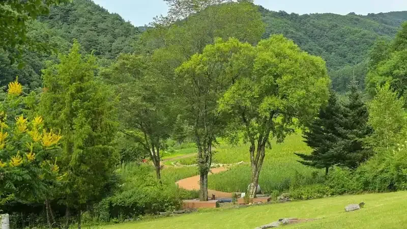 방문자 주차장 및 무장애 완경사 보행 진입로