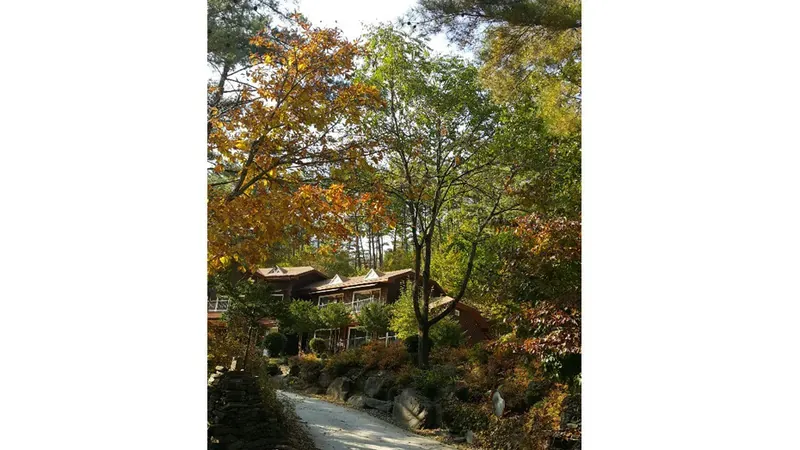 산림문화휴양관 앞 넓은 주차공간 및 편리한 보행 진입로