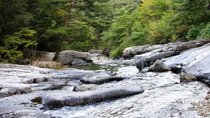 산림문화휴양관 및 숲속의집 앞 편리한 주차공간