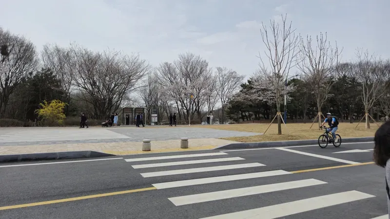 인천대공원 정문 진입광장 및 평탄 보행로