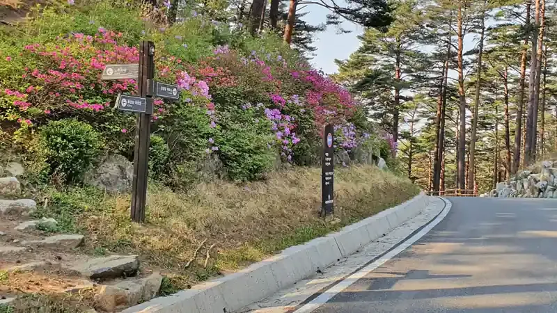 산림문화휴양관 및 숲속의집 앞 1:1 주차공간