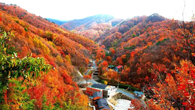 숲속의집 및 산림휴양관 1:1 문 앞 주차공간