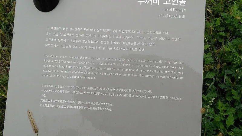 고인돌박물관 입구 안내 표지판 및 보행 진입로