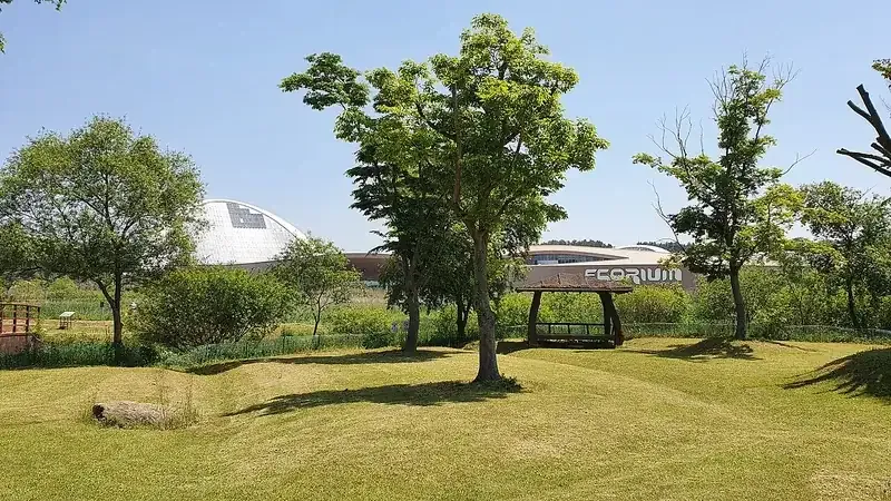 습지생태원 수변 목재 데크 산책로 및 원경의 에코리움
