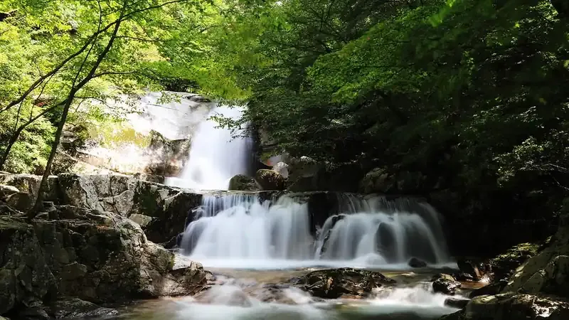 야영데크 및 숲속의집 인근 평탄한 주차구역