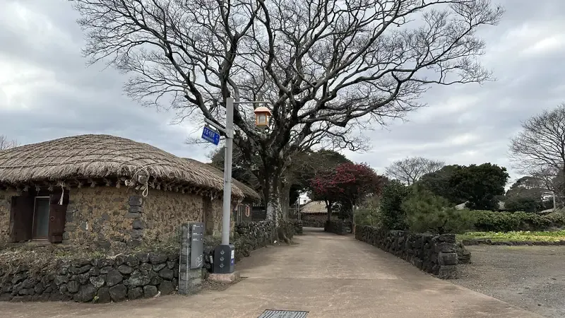 성읍민속마을 공영 무료주차장 및 유모차 이동 무장애 마을 진입로