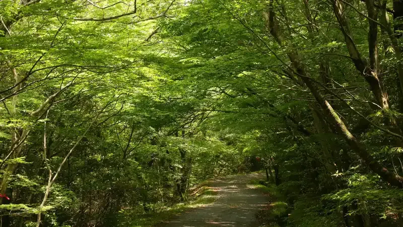 산림휴양관 및 숲속의집 전용 주차공간