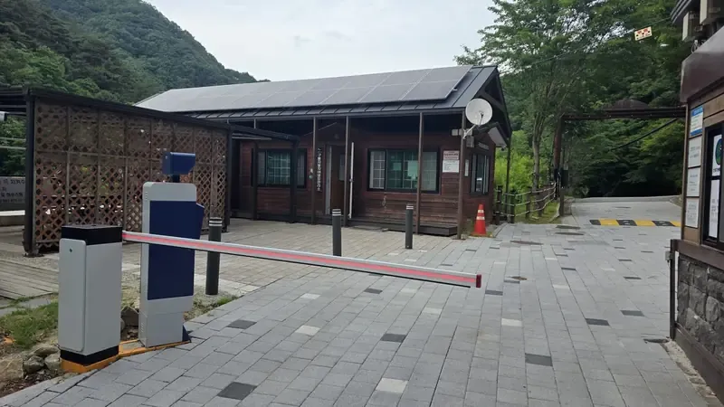 자동차야영 사이트 바로 옆 1:1 직결 편리한 주차공간