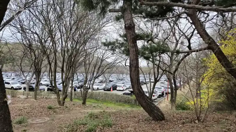 인천대공원 대형 지상 주차광장 및 보행 연결로