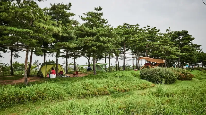 당일치기 바비큐 피크닉존 및 야외 테이블 쉼터